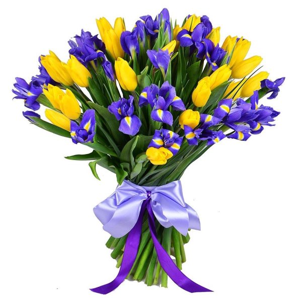 ирисы с тюльпанами