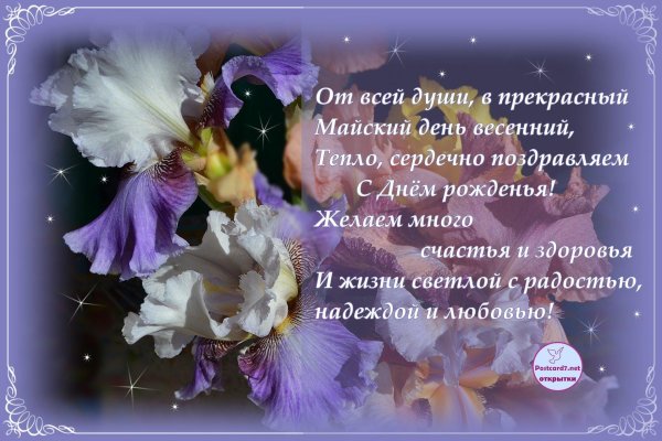 цветок ирис