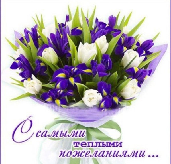 тюльпаны с ирисами