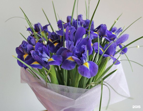 букет 11 ирисов