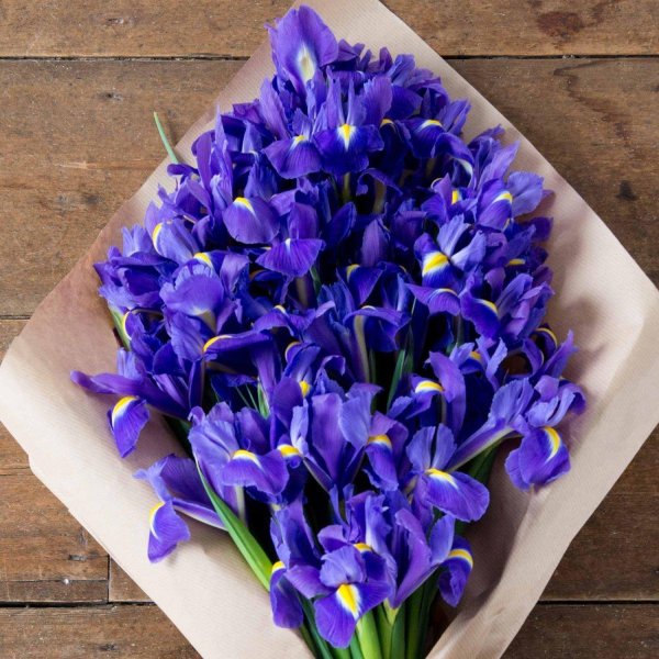 монобукет  ирисы