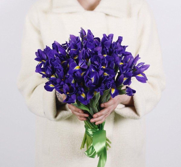 букет синих ирисов