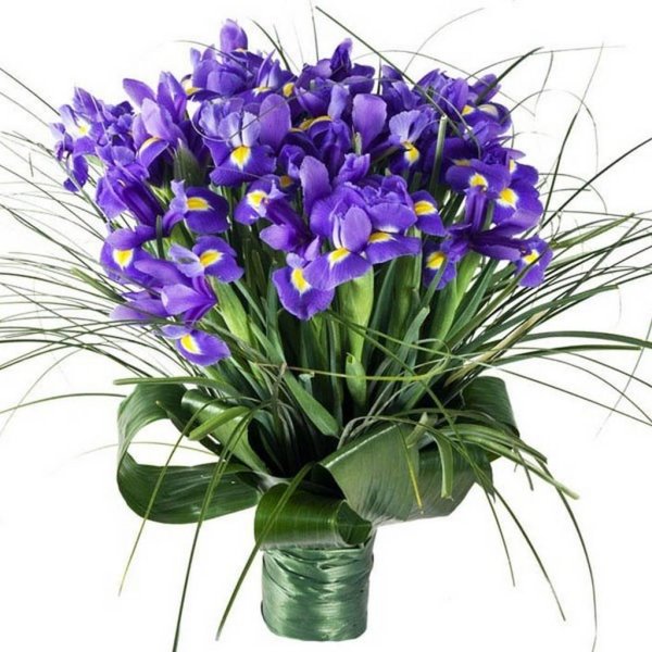 ирисы букетные