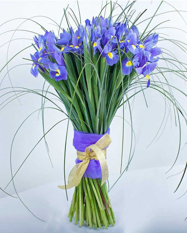 букет ирис