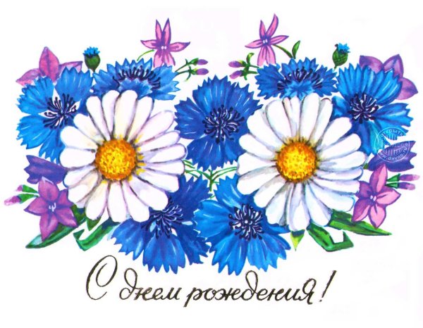 с днем рождения василек