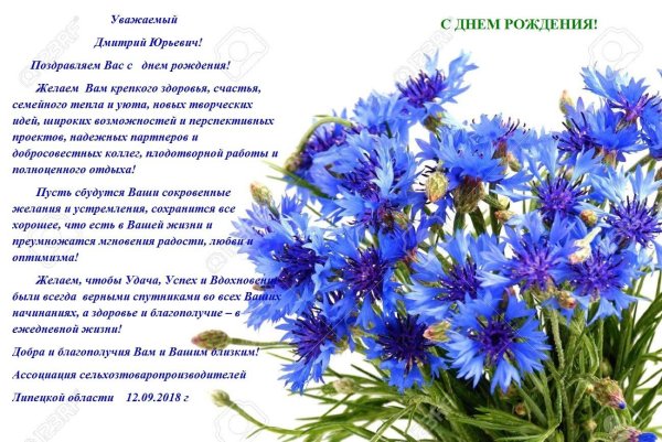 васильки на белом фоне