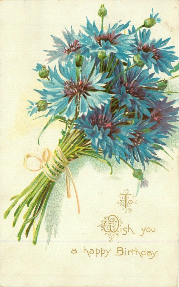 С днем рождения василек