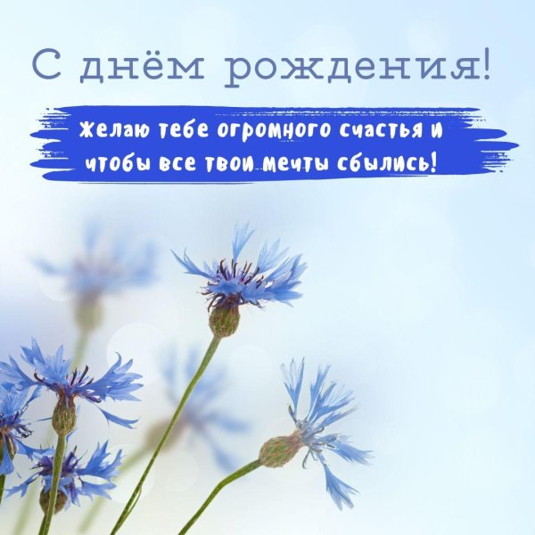 васильки открытки