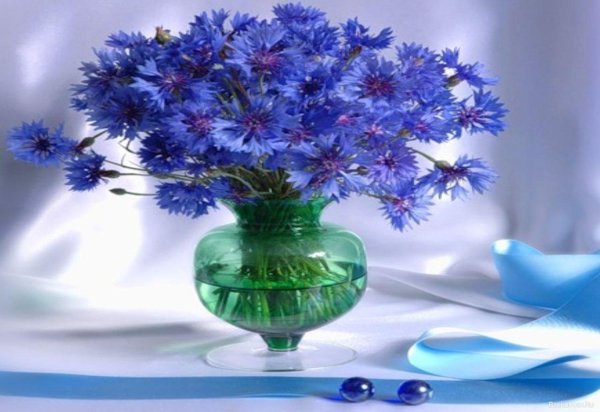 грабарь васильки