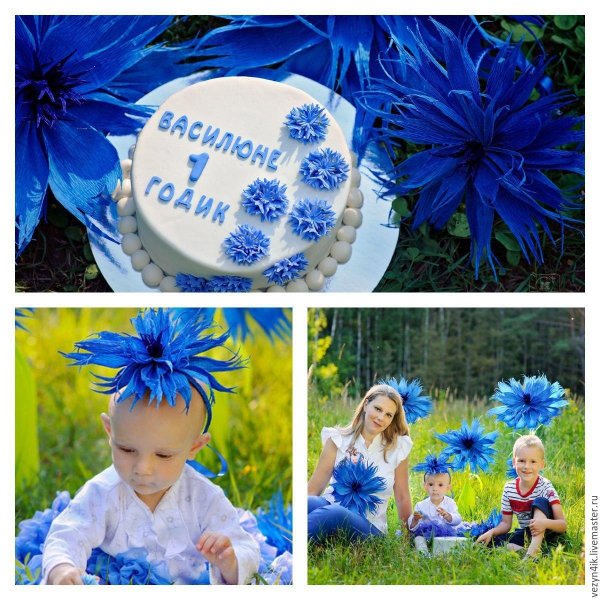 цветки василька