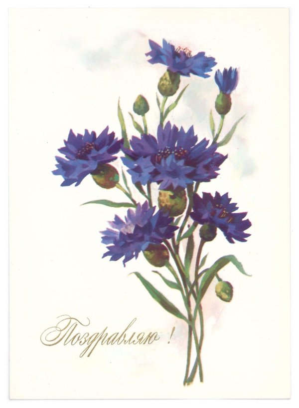 художник а куртенко