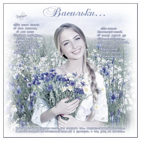 васильковое поле