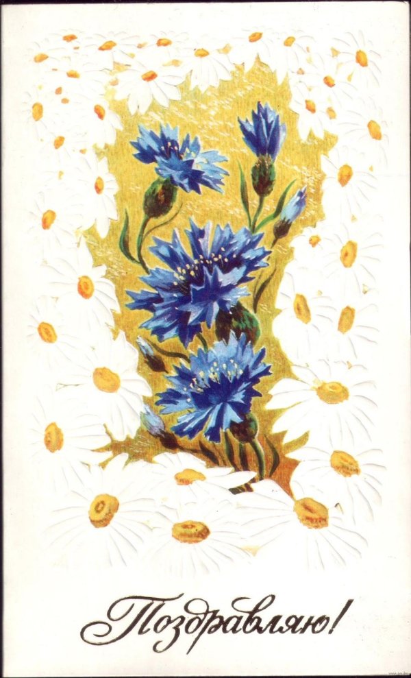 васильки открытки