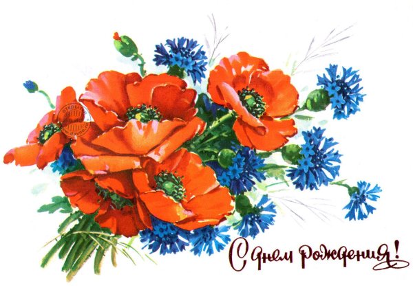 советские открытки с маками