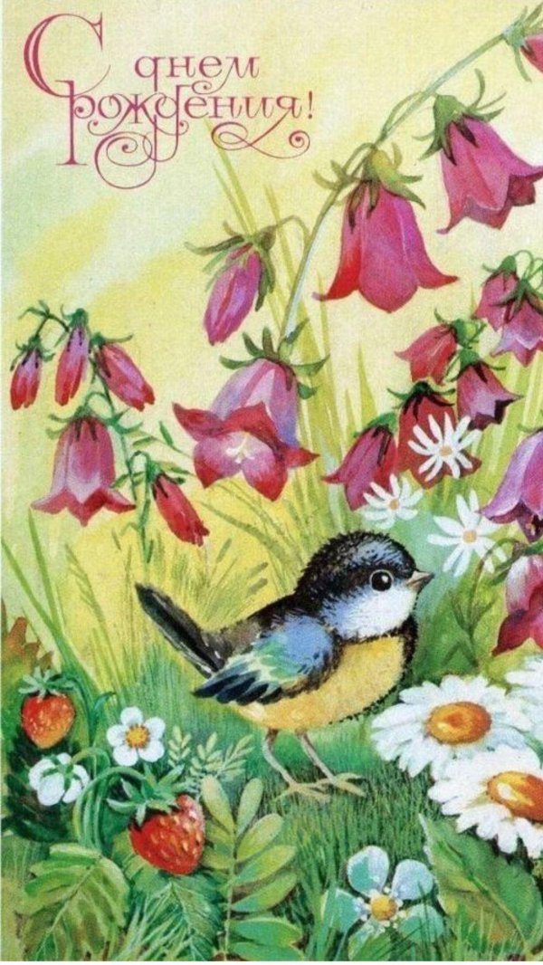 синичка зинька бианки