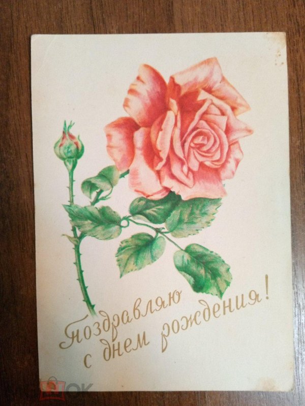 куртенко открытки ссср розы