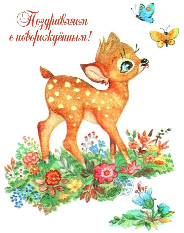 олененок картина для детей