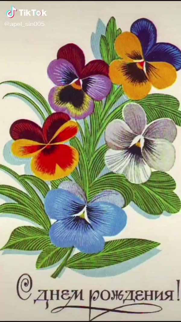 цветок анютины глазки