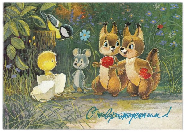 художник зарубин белочки