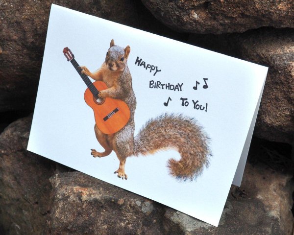 happy birthday squirrel