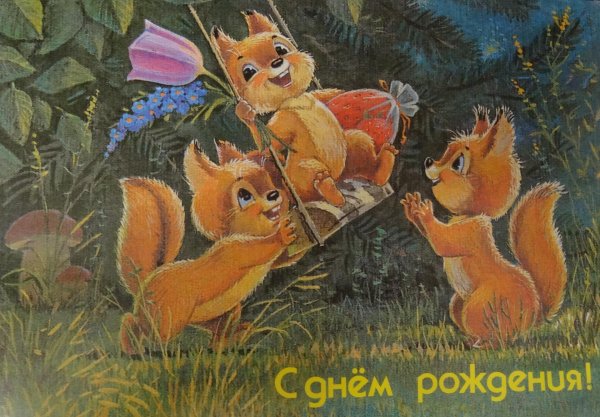 художник зарубин белочки