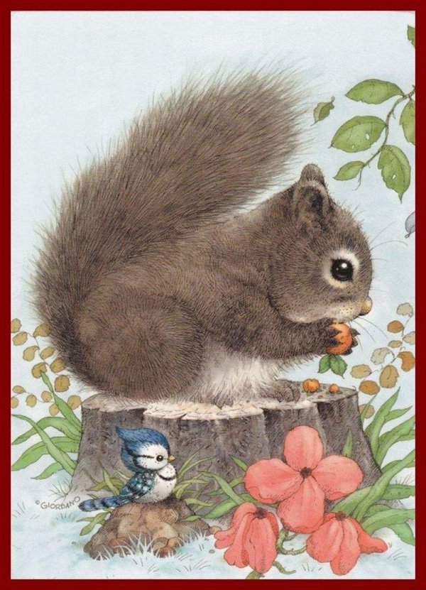 животные иллюстрации