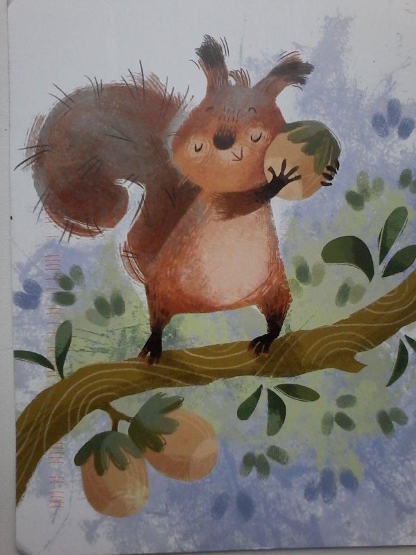 рисунки белочек