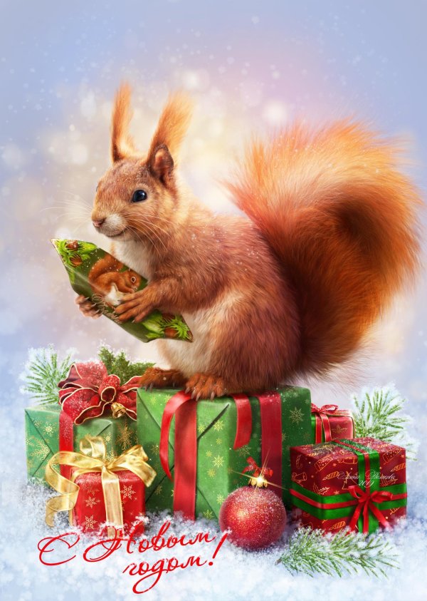 новогодние белочки