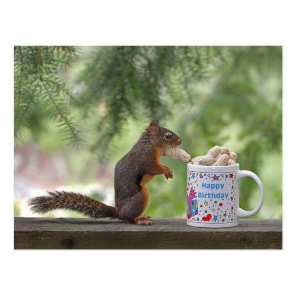 доброе утро с белочкой