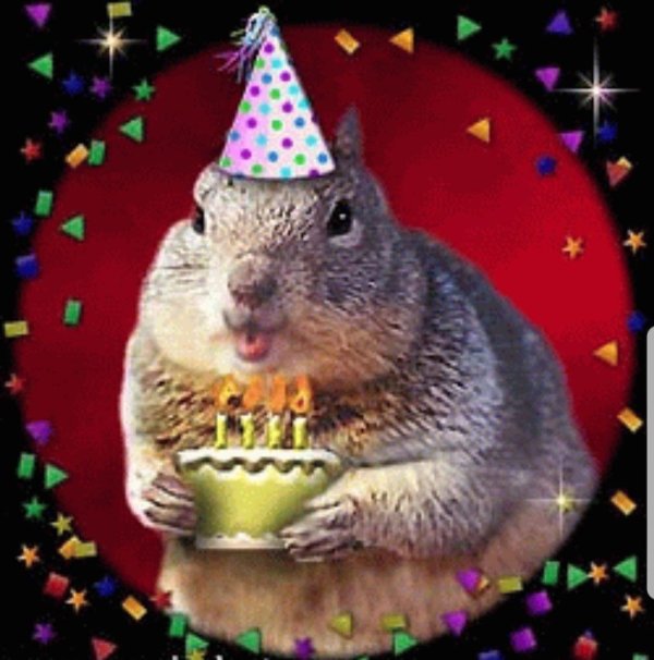 happy birthday squirrel