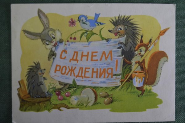 владимир зарубин открытки ежи