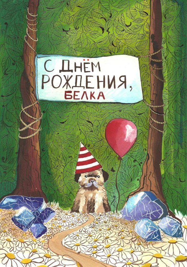 с днем рождения енот