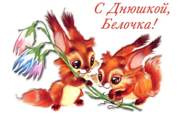 белочка клипарт