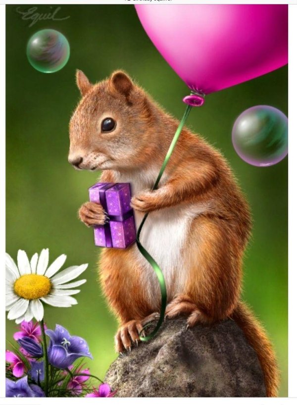 открытки с белками