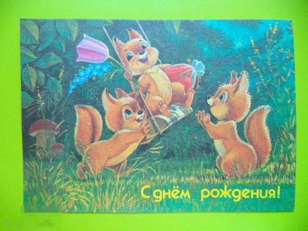 художник зарубин белочки