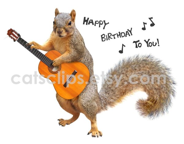 happy birthday squirrel