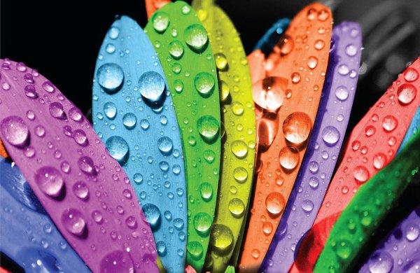 разноцветный мир