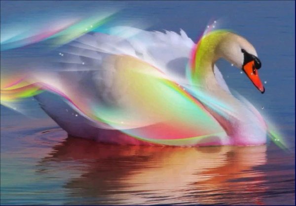 пара лебедей