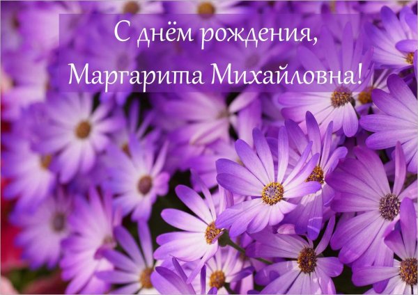 фиолетовые цветки