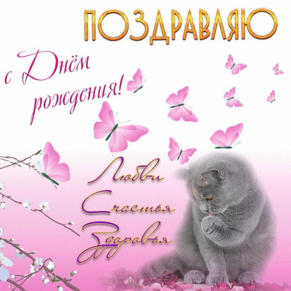 поздравительная открытка