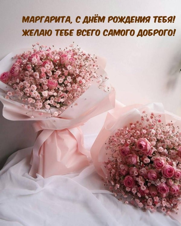 розовая гипсофила