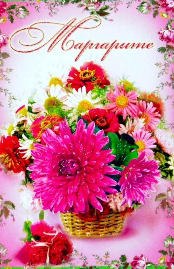 маргаритки маргаритки маргарита