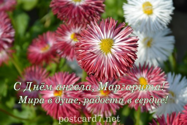 день маргариток