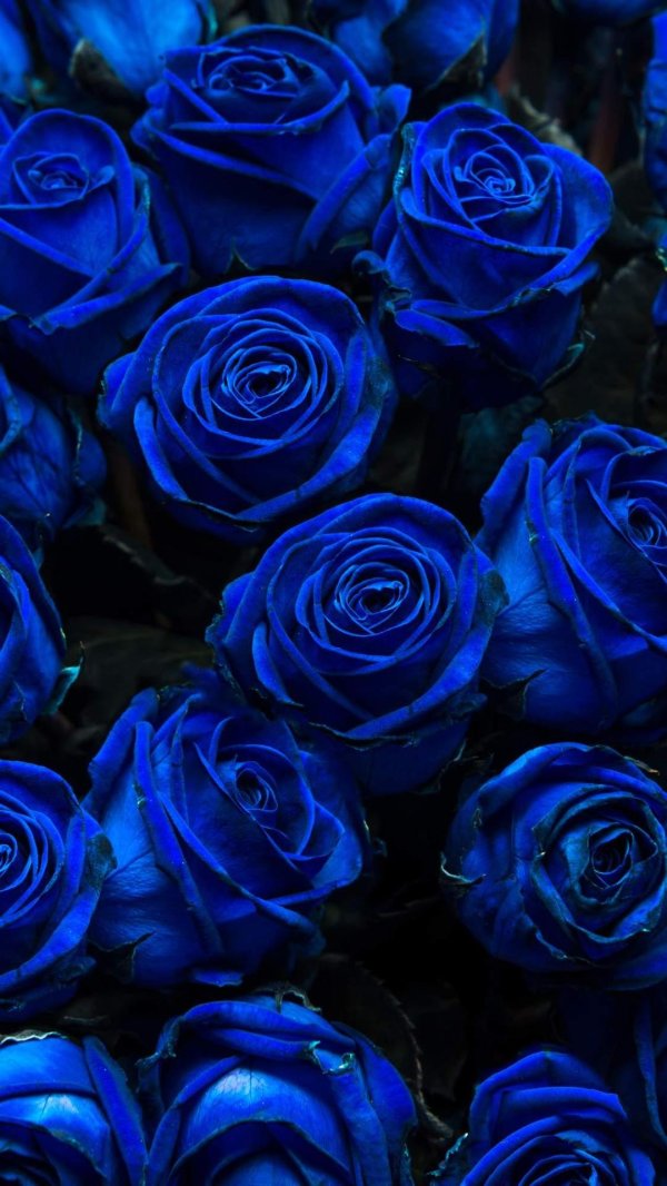 синего цвета