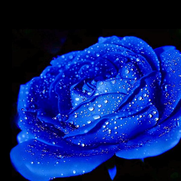 синего цвета