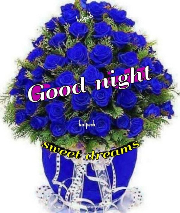 букет голубых роз