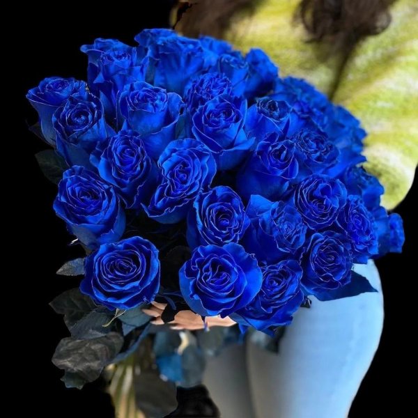 синяя роза беккер