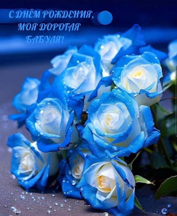 роза голубая