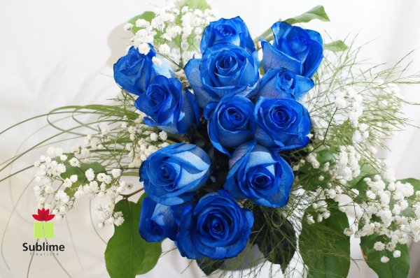 синяя роза беккер