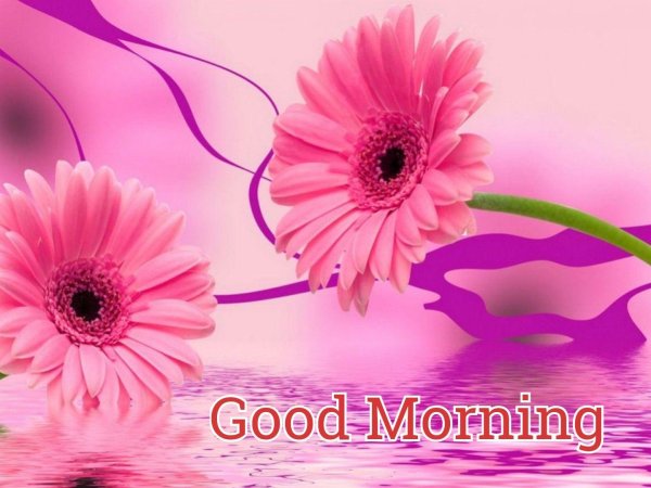 good morning цветы